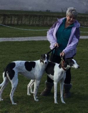 kate mitchell